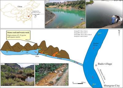 Microbial community structure in an uranium-rich acid mine drainage site: implication for the biogeochemical release of uranium